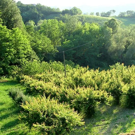 Casa Dell' Abbondanza Bed & Breakfast Vigoleno