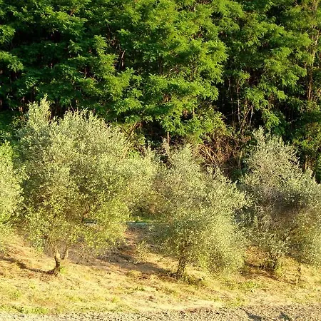 Casa Dell' Abbondanza Bed & Breakfast