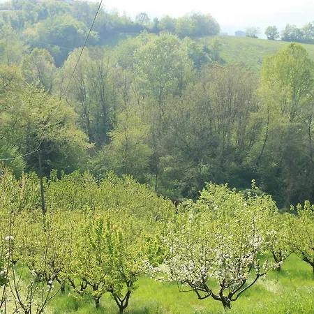 Casa Dell'abbondanza *