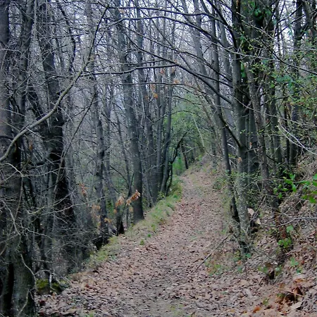 Casa Dell'abbondanza Szálloda