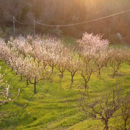 Casa Dell'abbondanza * Vigoleno