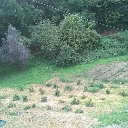 Casa Dell'abbondanza Szálloda *