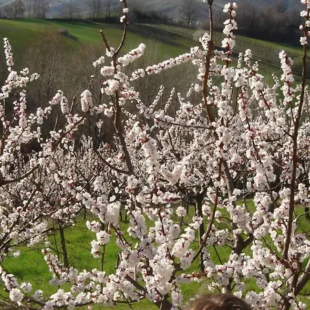 Szálloda Casa Dell'abbondanza