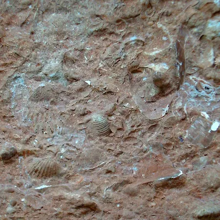 Casa Dell'abbondanza