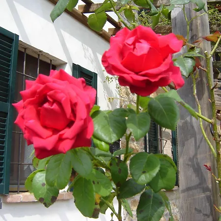 Hotel Casa Dell'abbondanza *