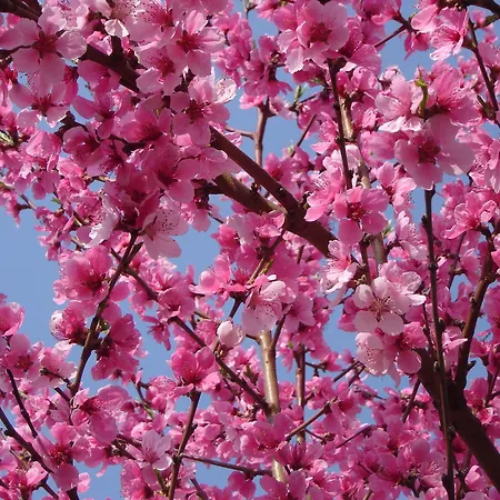 Hotel Casa Dell'abbondanza