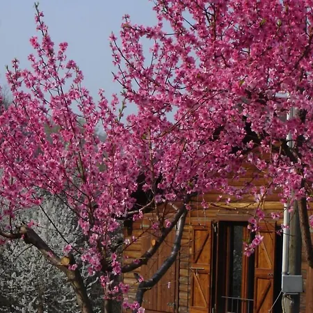 Casa Dell'abbondanza Szálloda *