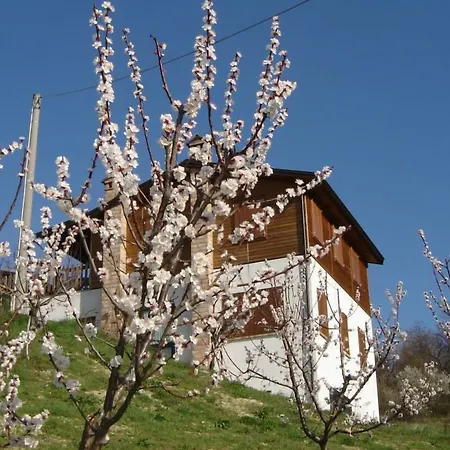 Casa Dell'abbondanza