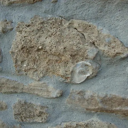 Casa Dell'abbondanza * Vigoleno