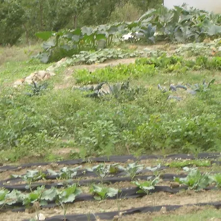 Szálloda Casa Dell'abbondanza