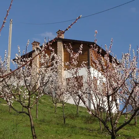 Casa Dell'abbondanza