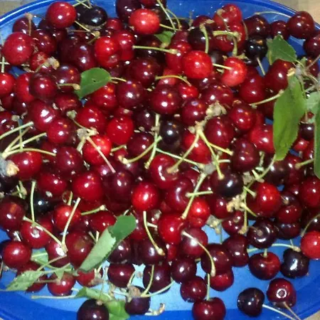 Casa Dell'abbondanza Szálloda