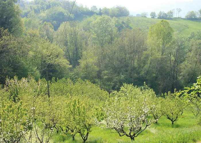 Casa Dell'abbondanza *