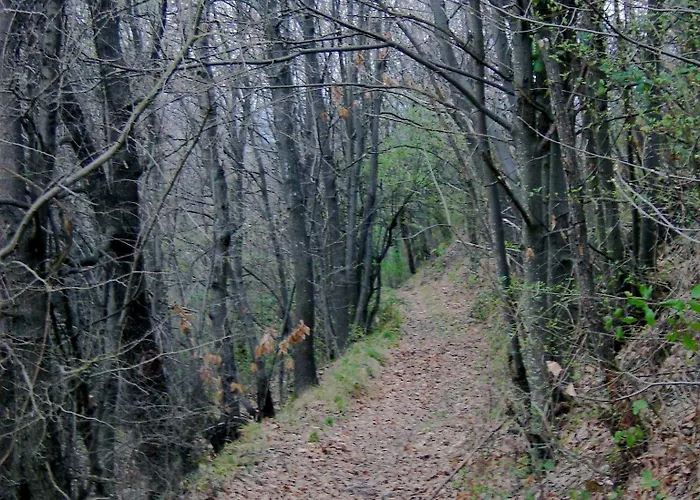 Casa Dell'abbondanza فندق