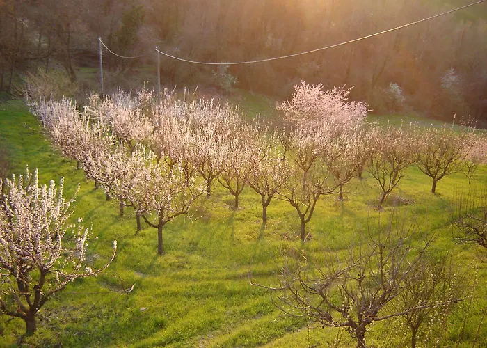 Casa Dell'abbondanza * Vigoleno