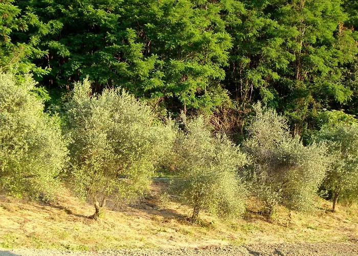 Casa Dell'abbondanza * Vigoleno