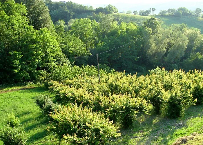 فندق Casa Dell'abbondanza *