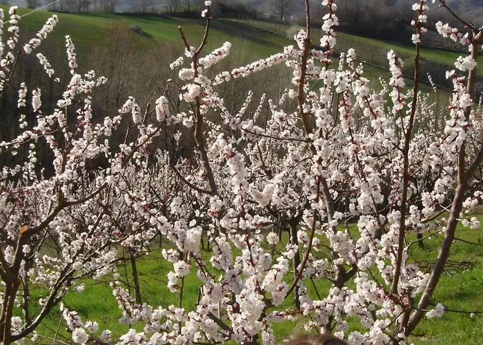 فندق Casa Dell'abbondanza