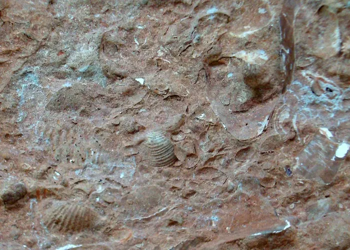 Casa Dell'abbondanza