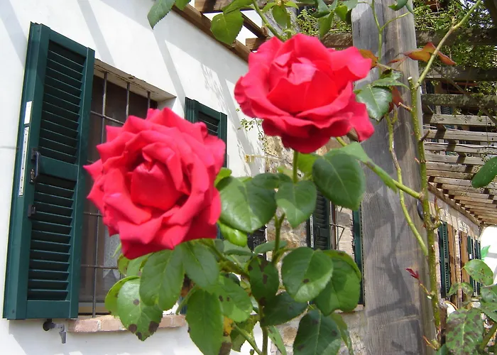 Hotel Casa Dell'abbondanza *