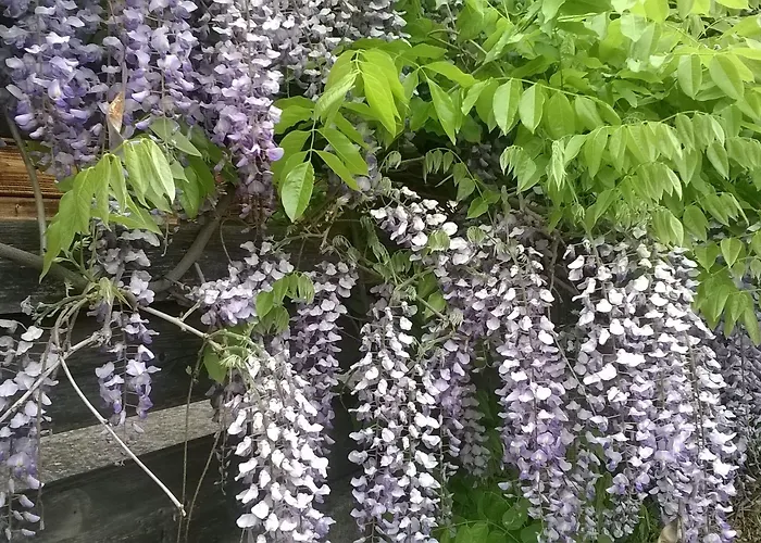 فندق Casa Dell'abbondanza Vigoleno