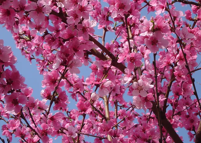 Hotel Casa Dell'abbondanza