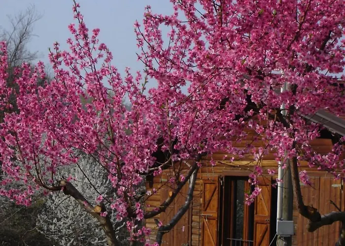 Casa Dell'abbondanza Hotel *