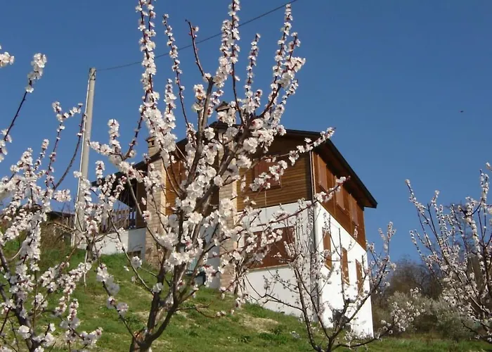 Casa Dell'abbondanza