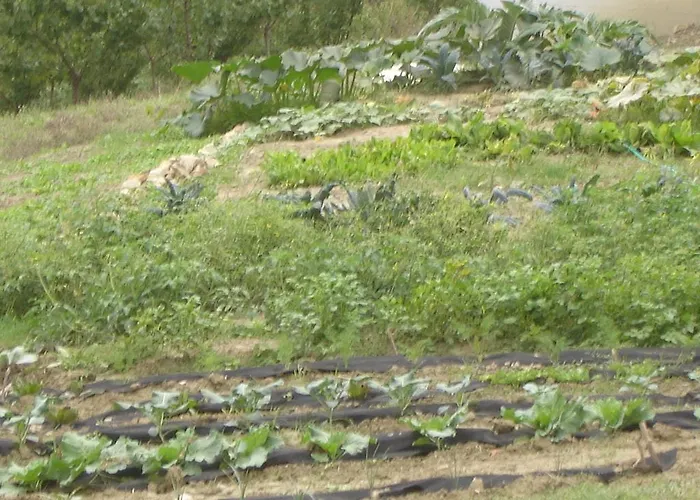 فندق Casa Dell'abbondanza