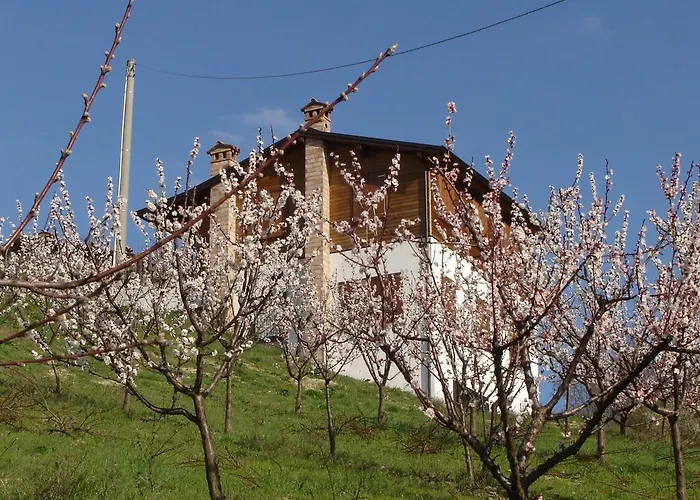 Casa Dell'abbondanza