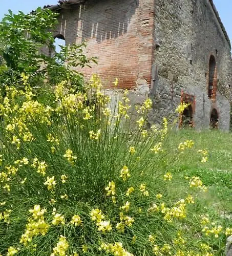 Casa Dell'abbondanza