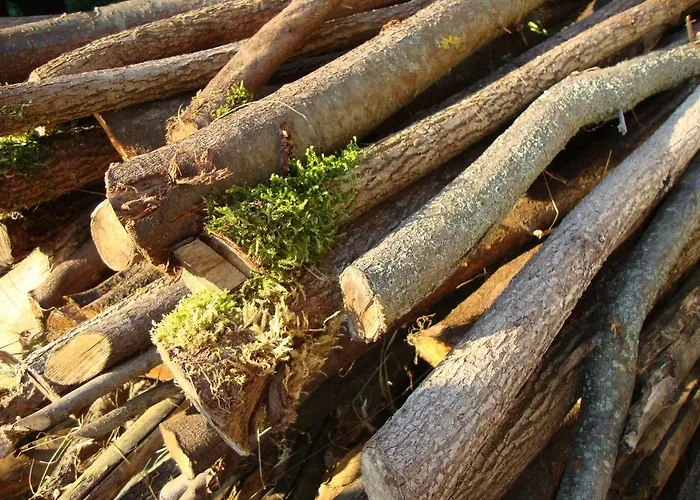 فندق Casa Dell'abbondanza *