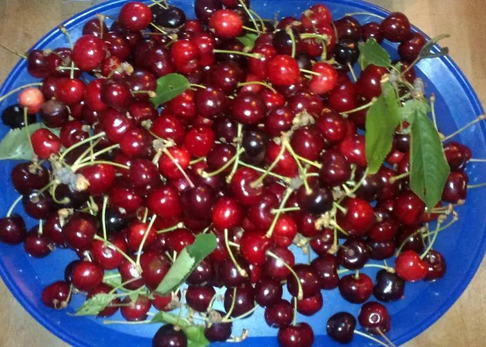 Casa Dell'abbondanza فندق